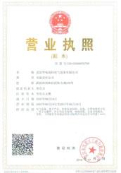 武汉开云入口高科营业执照